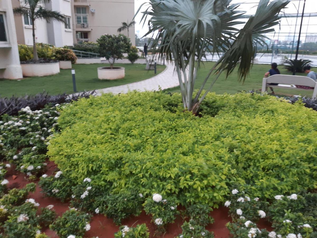 Luxury Old Mahabalipuram Road Omr Apartment *